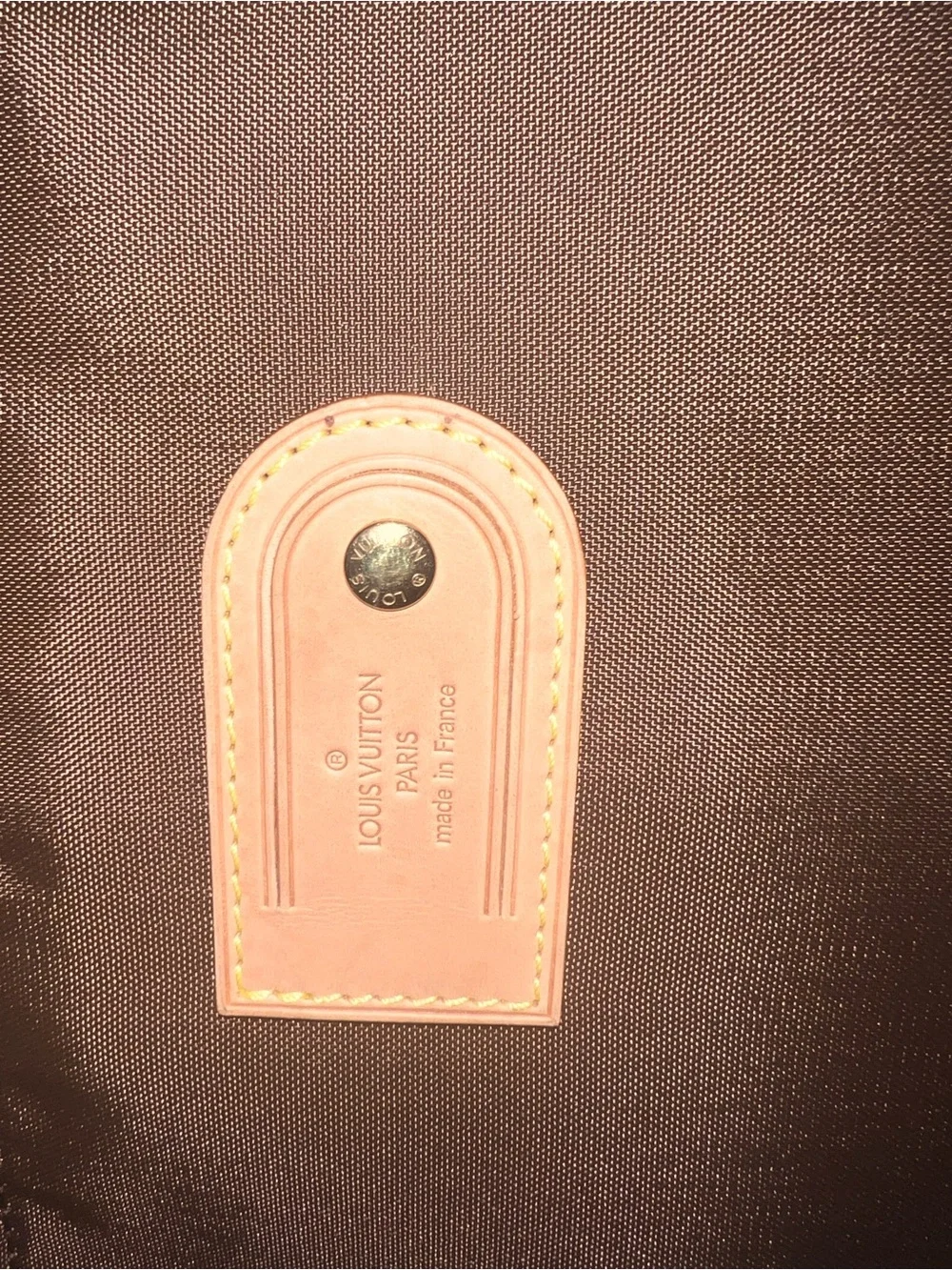 Louis Vuitton Pegasis 65 Suitcase